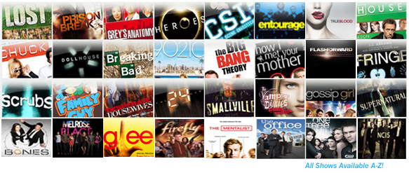 shows_bottom shows_bottom